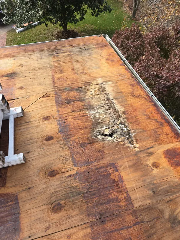Water-damaged plywood roof deck uncovered during tear-off in Mayfield, KY