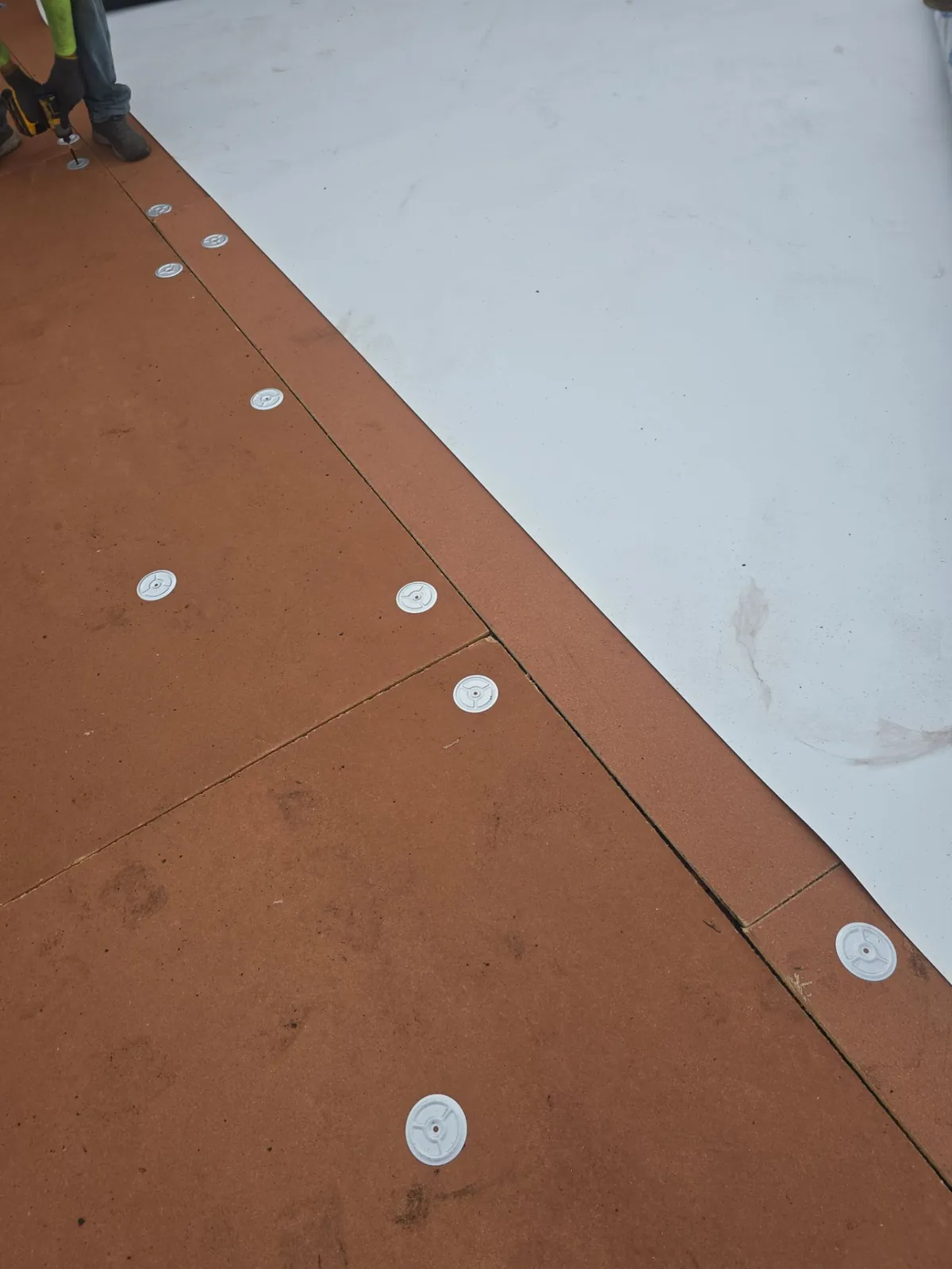 Close view of fastener plates securing cover board beside newly installed white membrane