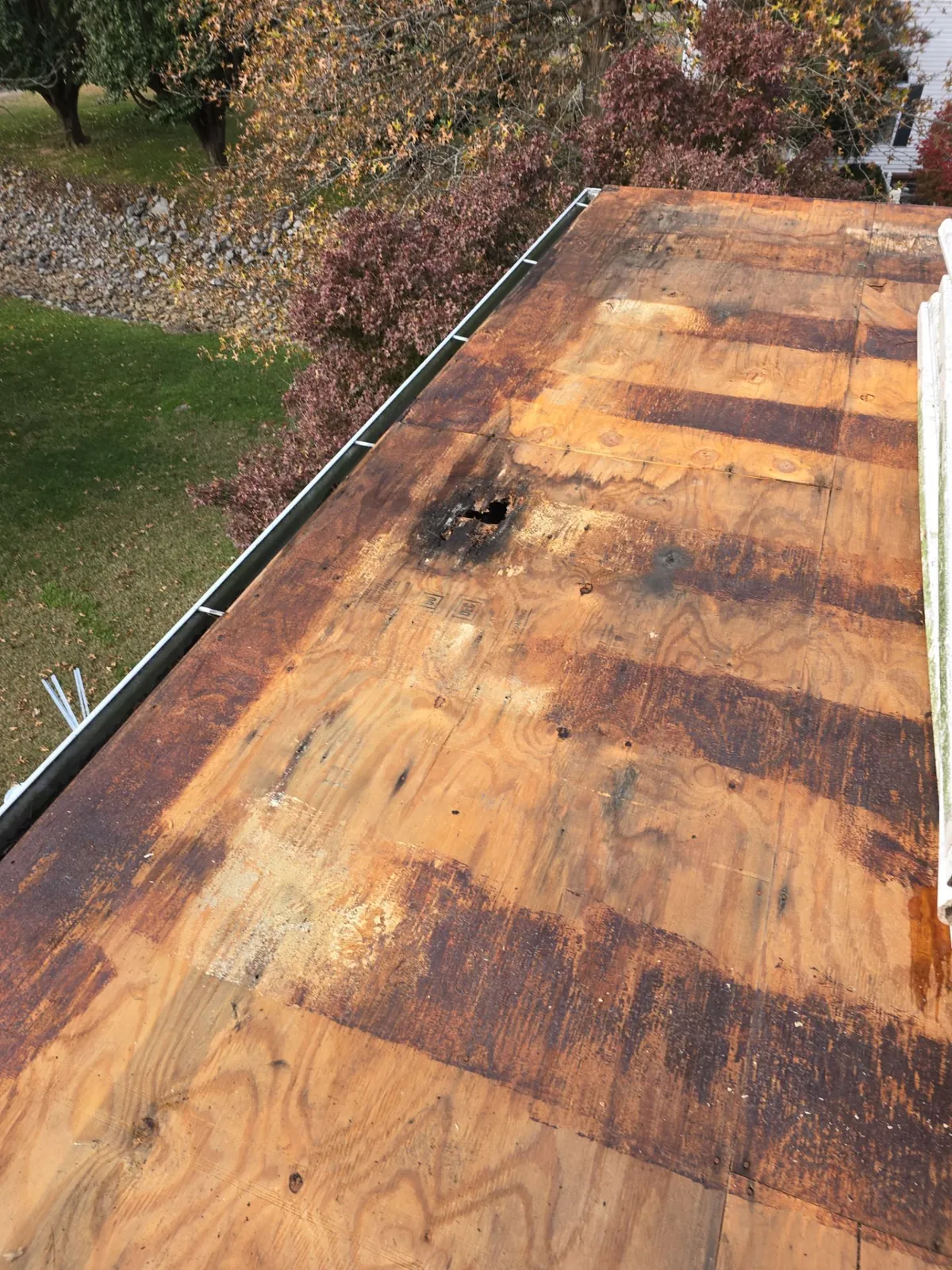 Plywood roof deck after the old membrane came off, stained dark with a rotted spot near the gutter