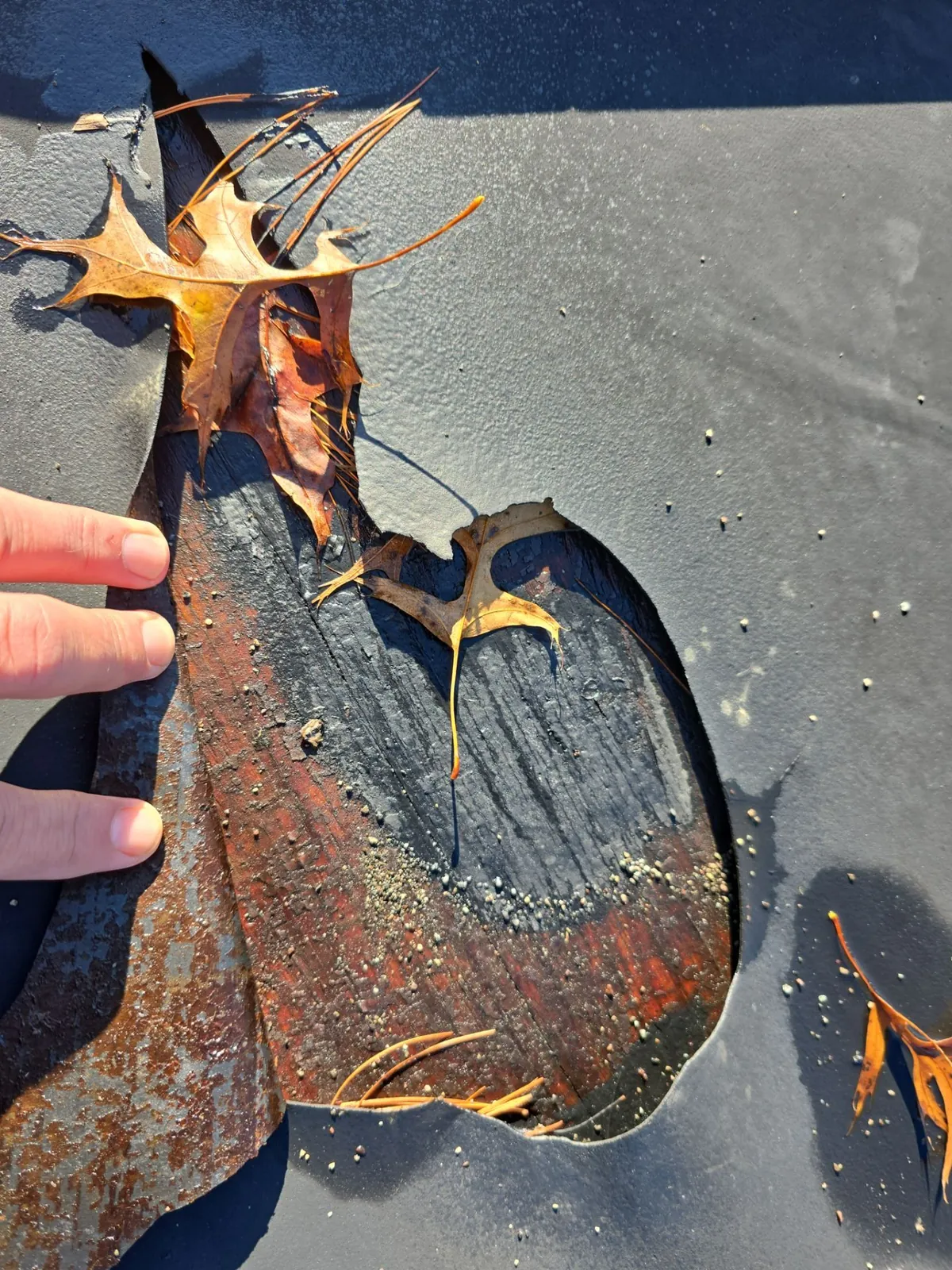 Close-up of a torn, rust-stained section of the old flat roof membrane