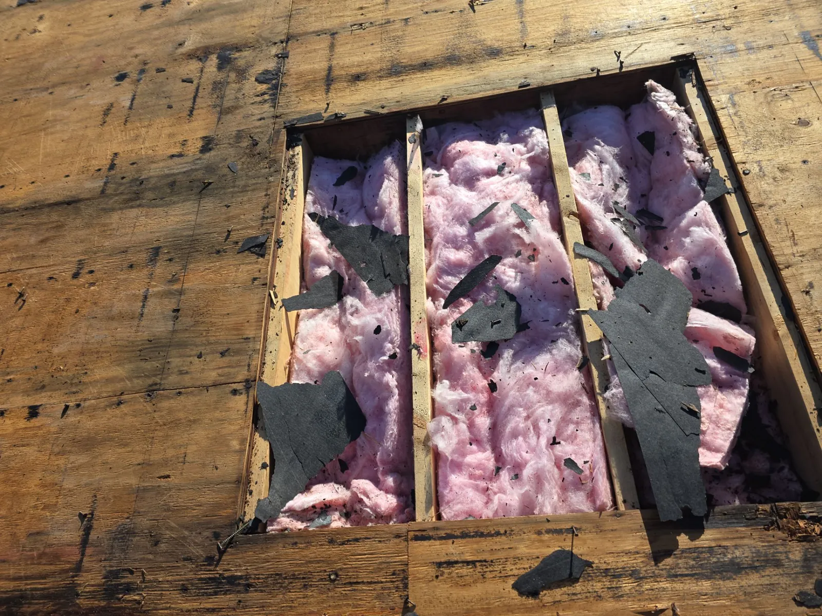 Section of damaged decking cut out during tear-off, exposing the rafters and attic insulation