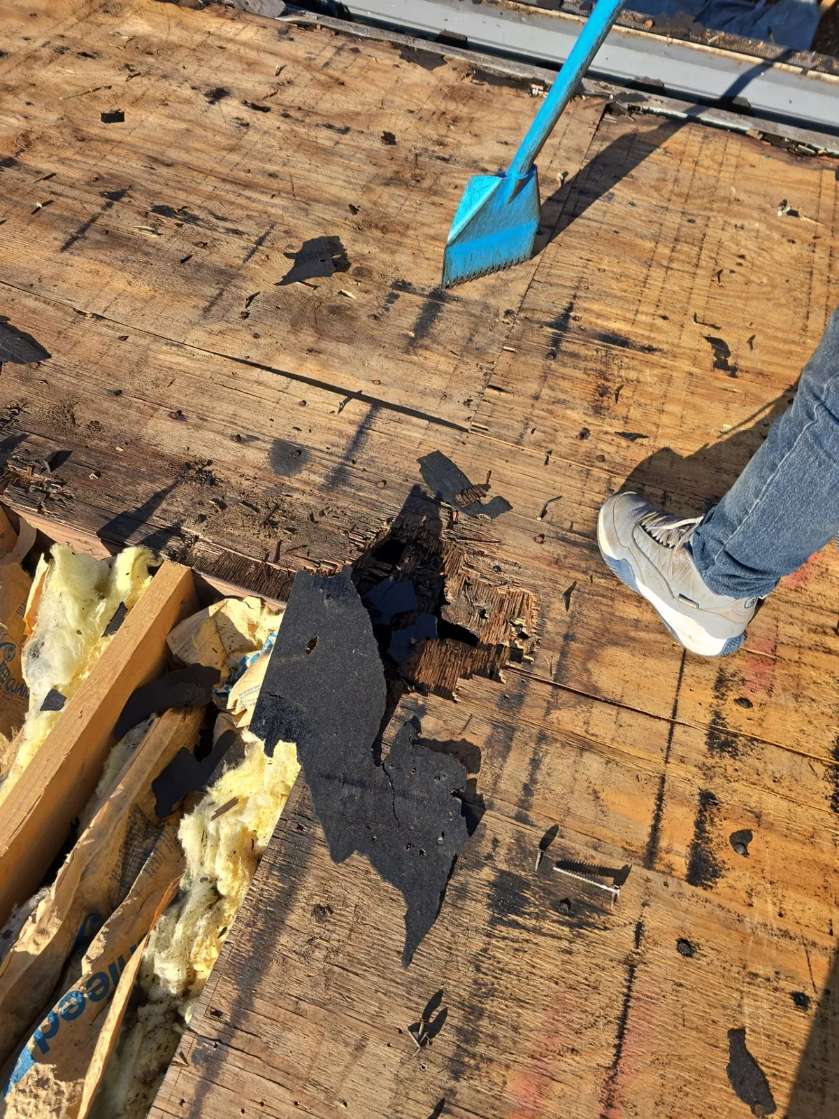 Rotted roof decking broken through during tear-off near Aurora, KY, with insulation visible below