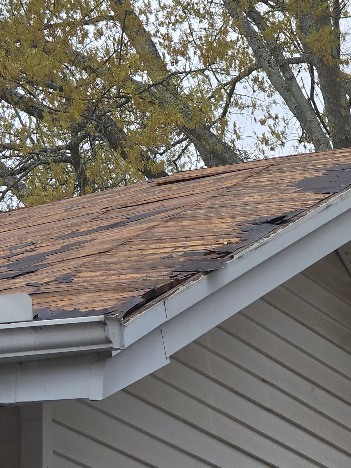Old shingles stripped along an eave of the bungalow, exposing the original plank decking and torn felt